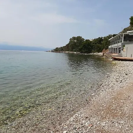 Apartment Albatros