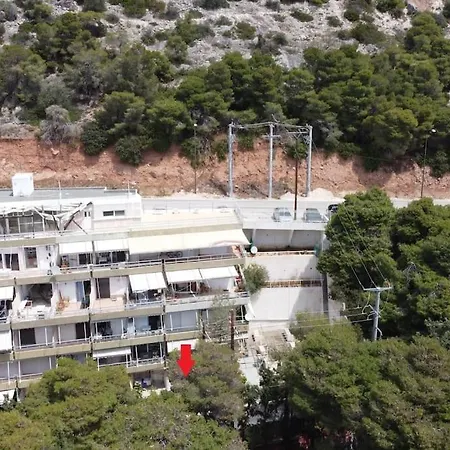 Apartment Albatros